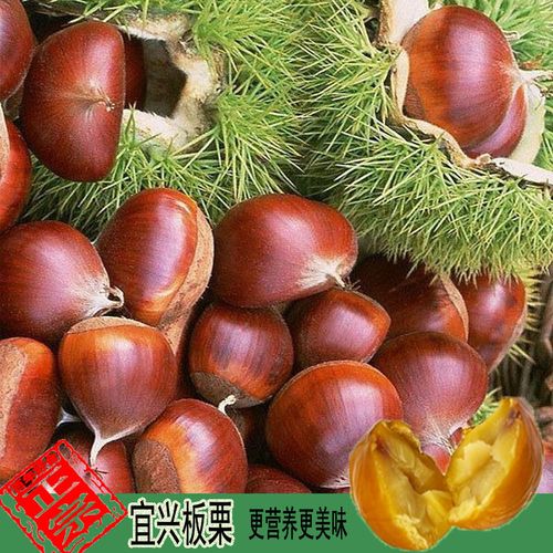 2017年宜兴农家特产新鲜生板栗子头满5斤自动包邮大部食用农产品_7折
